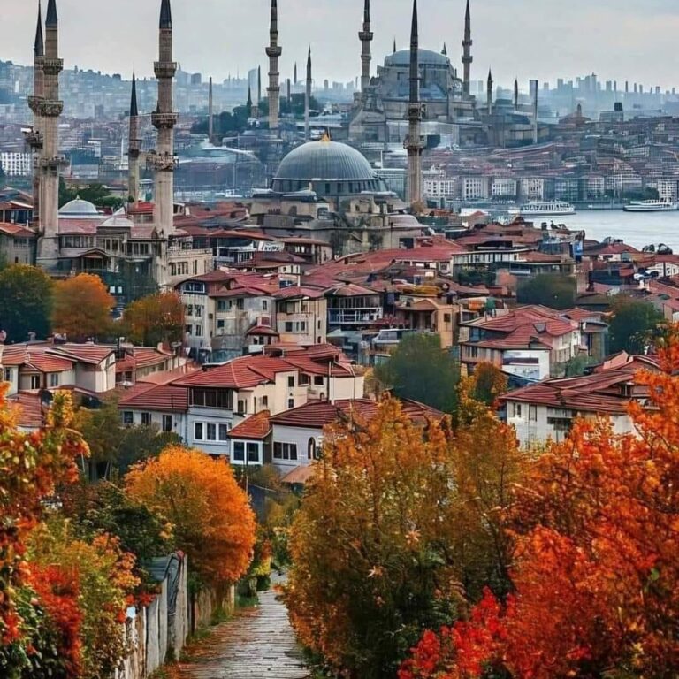სტამბოლის შემოდგომის ხედი ცოცხალი ფოთლებით, ტრადიციული წითელსახურავიანი სახლებით და მეჩეთის გუმბათებითა და მინარეთებით ბოსფორის ფონზე.