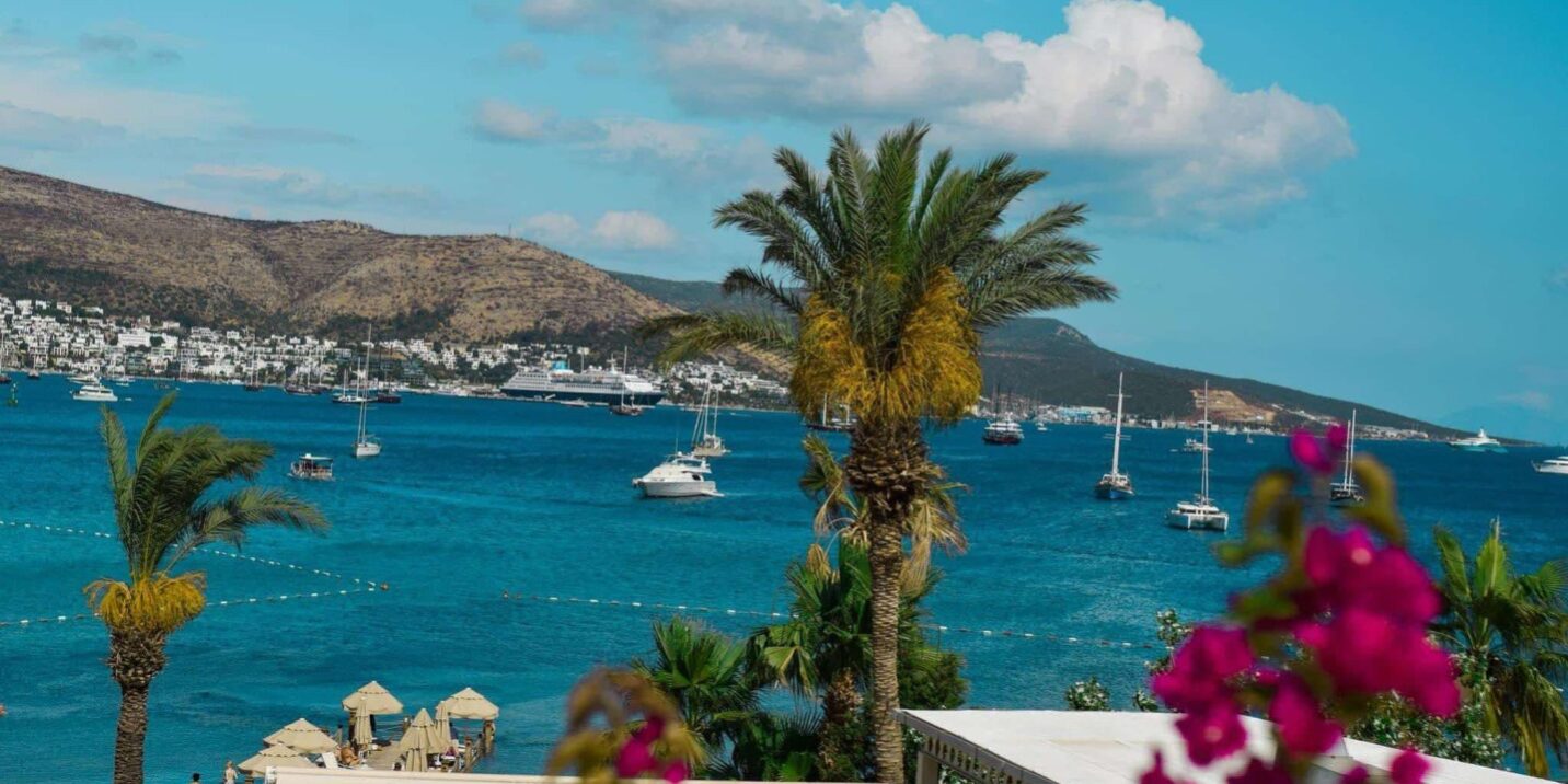 e9e5defe-ab4b-4c9c-8b21-f11f0bf40b59 ბოდრუმი