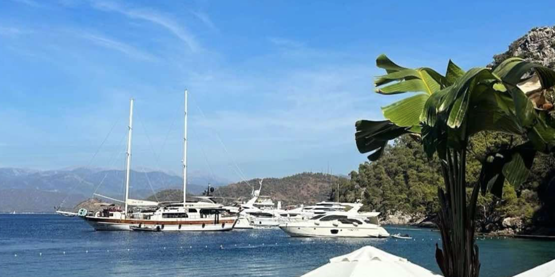 ბოდრუმი, თურქეთი. იახტები ზღვაში, პალმისა და სანაპირო ქოლგების ფონზე