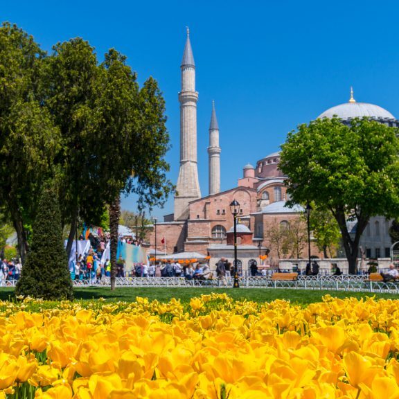 titebis-festivali-stambolshi სტამბოლი, თურქეთი