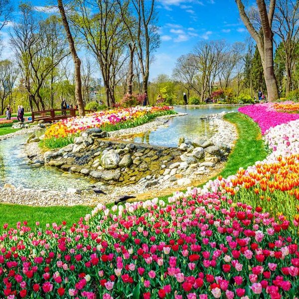 ტიტების ფესტივალი სტამბოლში