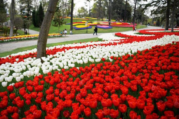 ტიტების ფესტივალი სტამბოლში, თურქეთში