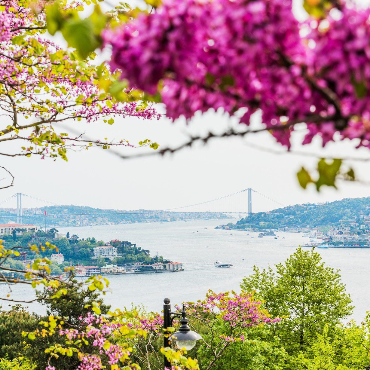 სტამბოლი, თურქეთი