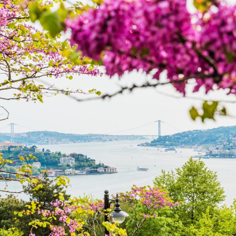 სტამბოლი, თურქეთი